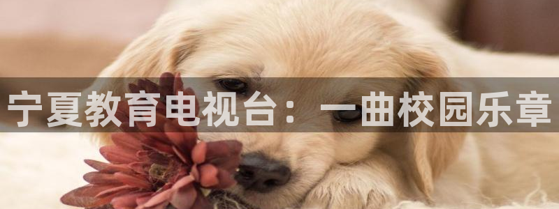 jrkan直播免费体育直播：宁夏教育电视台：一曲校园乐章