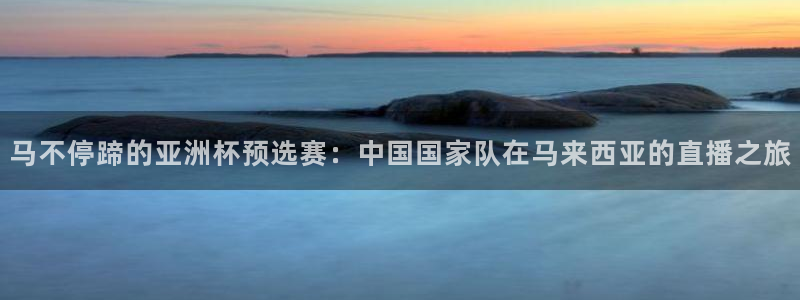 jrkan体育直播：马不停蹄的亚洲杯预选赛：中国国家队在马来西亚的直播之旅