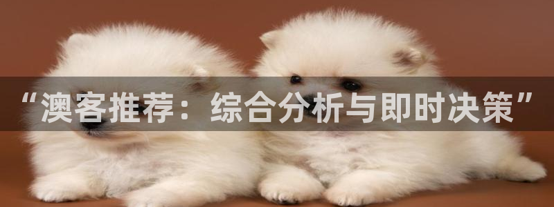 jrkan2023免费体育直播：“澳客推荐：综合分析与即时决策”