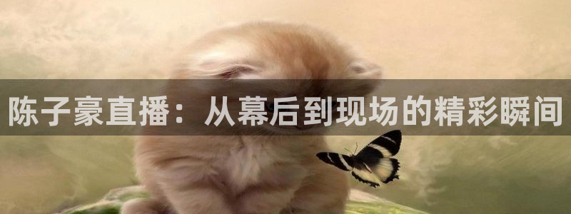 jrkan直播nba在线直播：陈子豪直播：从幕后到现场的精彩瞬间